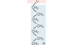 oleic acid