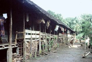 North Kalimantan, Indonesia: longhouse