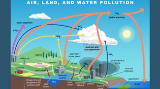 Major types of pollution explained