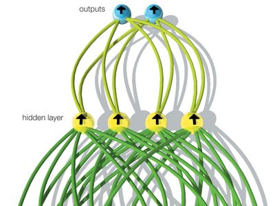 A simple feedforward neural networkIn a simple feedforward neural network, all signals flow in one direction, from input to output. Input neurons receive signals from the environment and in turn send signals to neurons in the “hidden” layer. Whether any particular neuron sends a signal, or “fires,” depends on the combined strength of signals received from the preceding layer. Output neurons communicate the final result by their firing pattern.