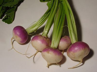 turnips