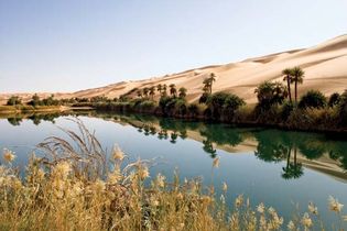 Oasis in Libya.