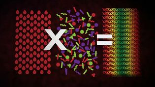 What is the field of immunogenomics?