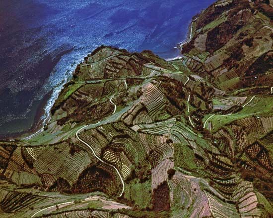 Terraced farmland near Uwajima, Ehime Prefecture, Japan