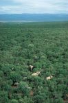 Addo Elephant National Park