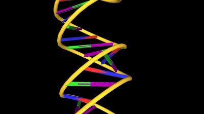 Learn about Watson and Crick's double-helix DNA structure, composed of two intertwined chains of nucleotides resembling a spiral ladder