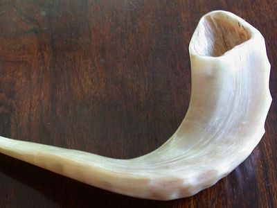 shofar