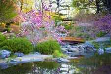 Japanese garden