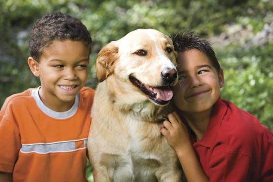 children with a pet dog