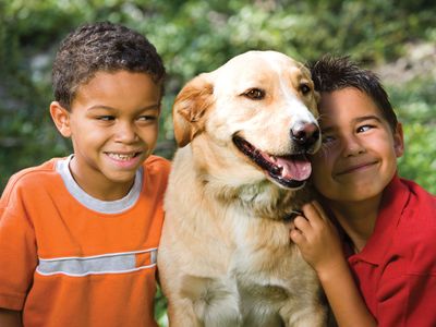 children with a pet dog