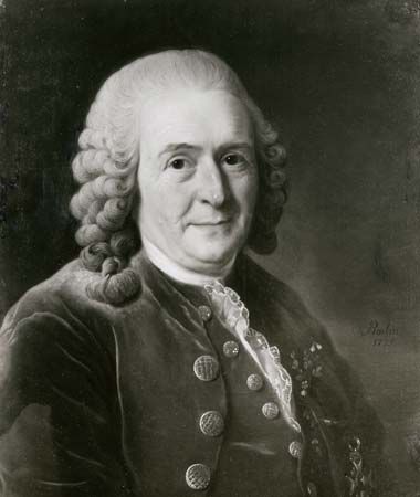 Carolus Linnaeus