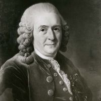 Carolus Linnaeus