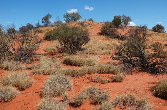 Simpson Desert