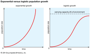 Figure 1: Exponential versus logistic population growth