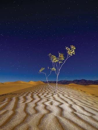 Death Valley National Park