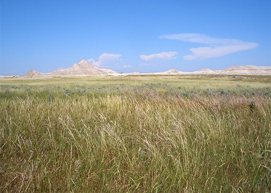 Nebraska grasslands