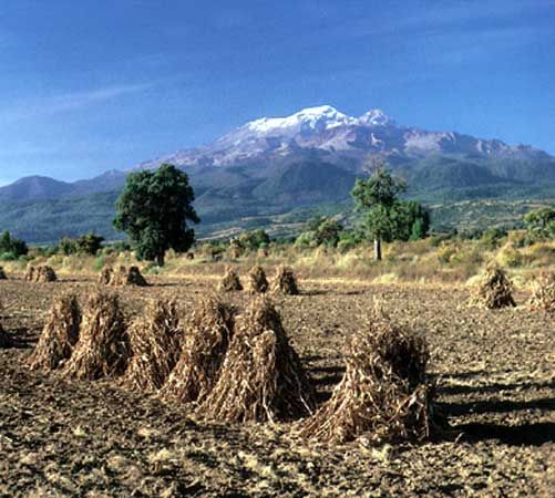 The volcano Iztaccíhuatl rising in the background over a field in Puebla state, Mex.