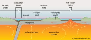 cross section of a tectonic plate