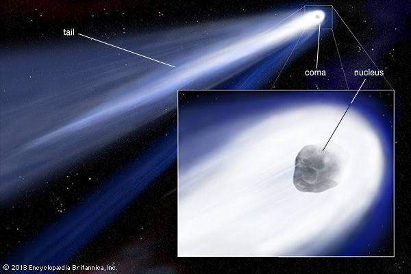 comet: main parts of a comet