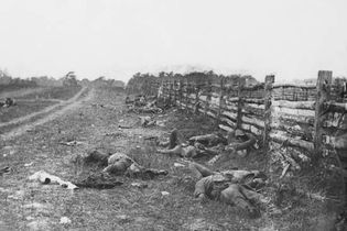 Battle of Antietam: Confederate dead