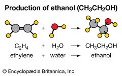 ethanol production