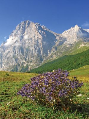 Gran Sasso d'Italia