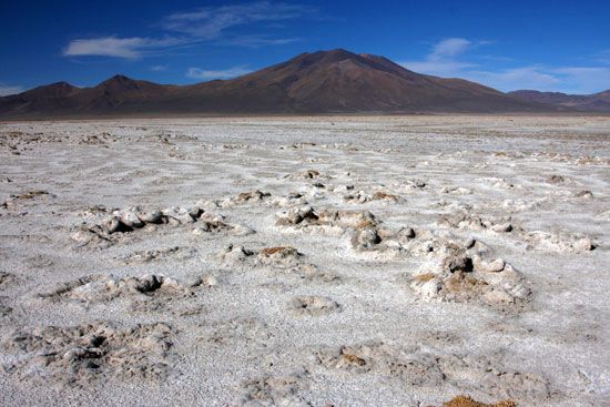 salt flat with potassium nitrate deposits