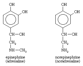 epinephrine; norepinephrine