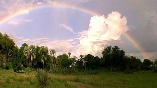 Understand the science behind the formation of rainbows