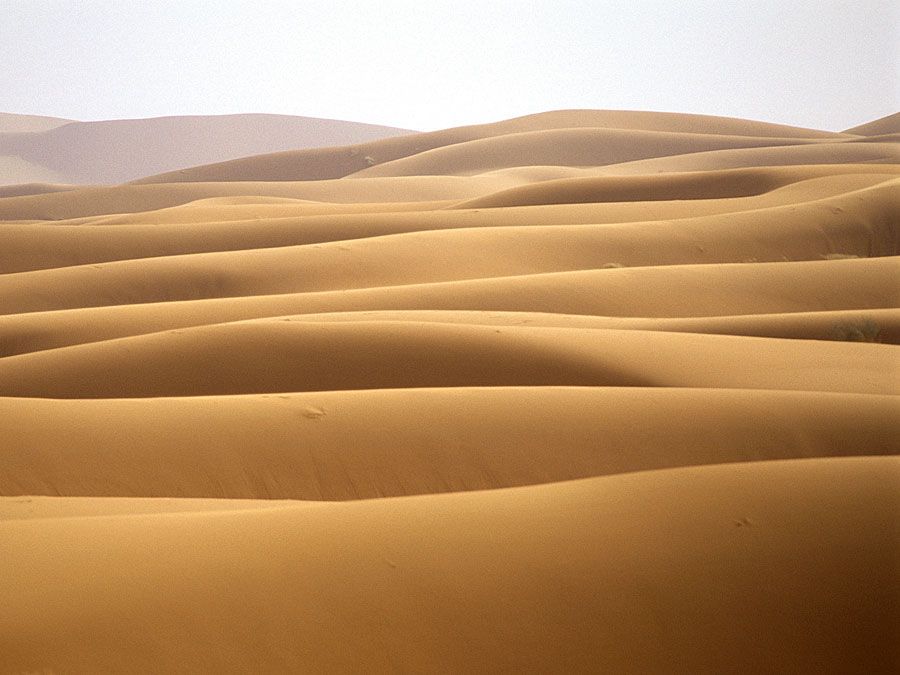 sand dunes