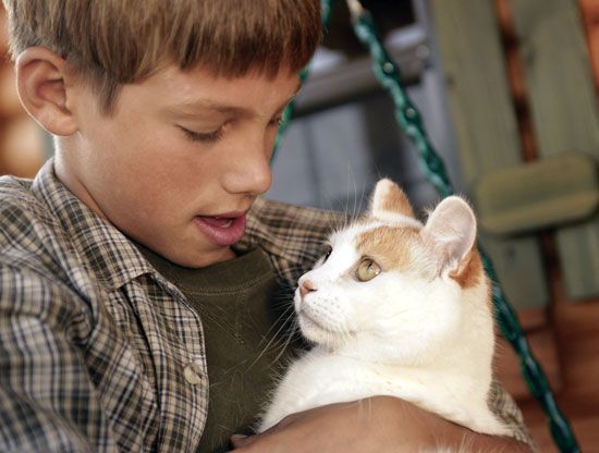 boy holding a pet cat