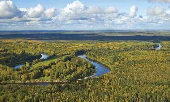 West Siberian Plain, Russia