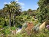 The exotic plants of Trebah Garden