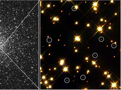 White dwarf stars (circled) in globular cluster M4.The brightest stars in this field are yellow stars similar to the Sun; smaller, dim stars are red dwarfs.