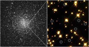 White dwarf stars (circled) in globular cluster M4.The brightest stars in this field are yellow stars similar to the Sun; smaller, dim stars are red dwarfs.