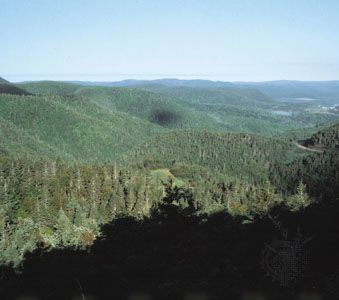 upland forest, Quebec