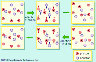 Figure 13: Nuclear vibratory motion in the giant dipole resonance. Protons and neutrons move in opposite directions.