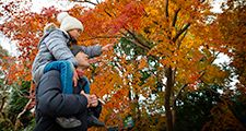 Father and daughter looking at autumn leaves