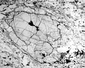 photomicrograph of corroded garnet