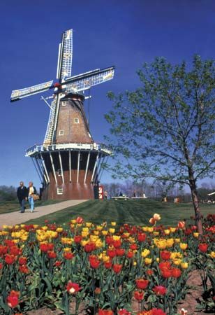 windmill