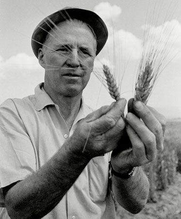 Norman Borlaug