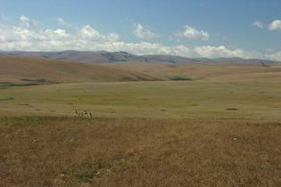 Nyika Plateau