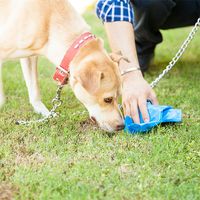 Closeup of the hand of a man picking up some dog poop with a bag while his dog sniffs it. Walk cleanup sniff