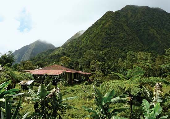 Carbet Mountains: Piton Boucher