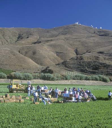 California: farming