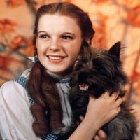 Judy Garland as Dorothy Gale, with her dog, Toto, from the motion picture film The Wizard of Oz (1939); directed by Mervyn LeRay. (cinema, movies)