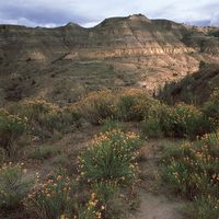 Theodore Roosevelt National Park, North Dakota, U.S.