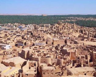 Oasis in Morocco.