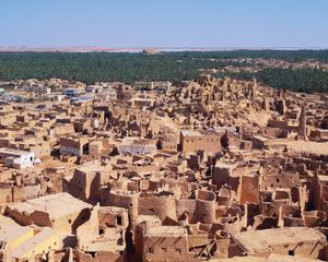 Oasis in Morocco.