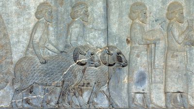 Learn about the culture of Mesopotamia in the Fertile Crescent between the Tigris and Euphrates rivers